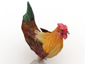 cock Modelo 3D
