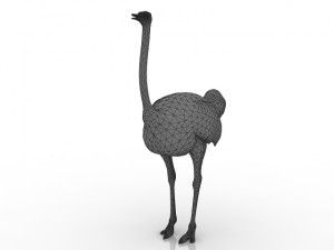 ostrich 3Dモデル