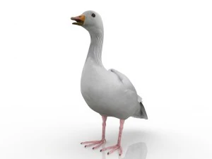 goose 3D Model