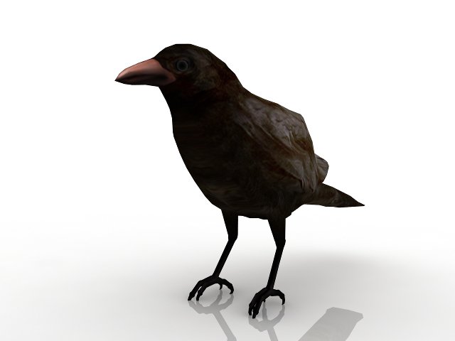 Raven 3D Model in Bird 3DExport