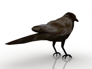 raven 3D Model