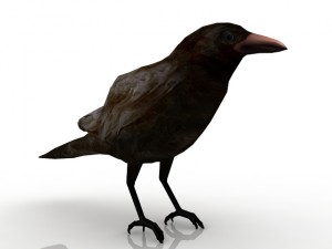 raven 3D Model