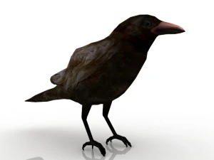 raven 3D Model