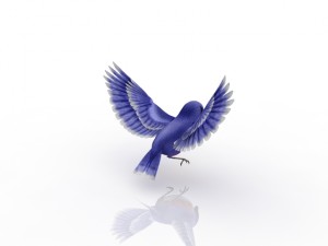 birdie Model 3D