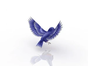 birdie 3D Model