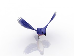 birdie Model 3D