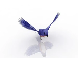birdie 3D Model