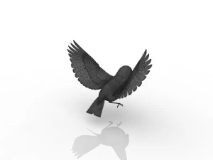 birdie 3D Model