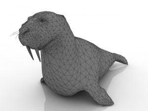 walrus 3D मॉडल