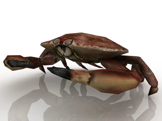 crab 3D Model .c4d .max .obj .3ds .fbx .stl .blend 