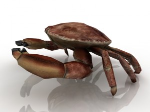 crab 3D Модель