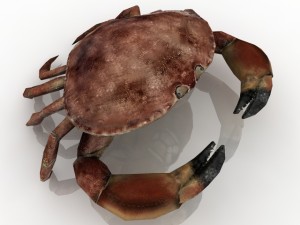 crab 3D Модель