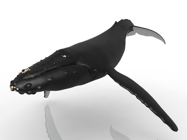Whale 3D मॉडल .c4d .max .obj .3ds .fbx .stl .blend 