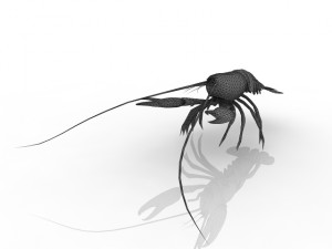 lobster Model 3D