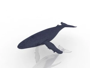 Baleia Modelo 3D