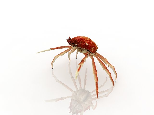 crab 3D Модель .c4d .max .obj .3ds .fbx .stl .blend 