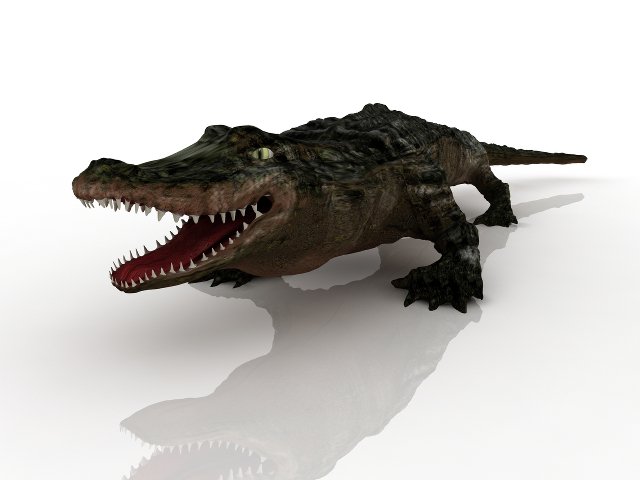 alligator 3D Model .c4d .max .obj .3ds .fbx .stl .blend 