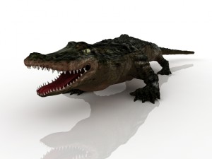 alligator 3D Model