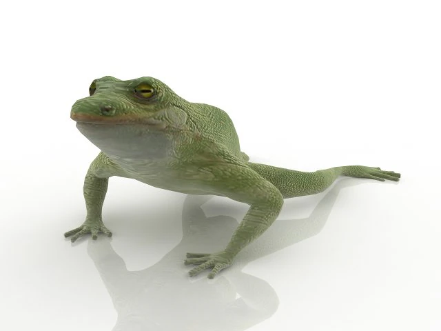 frog 3D Model .c4d .max .obj .3ds .fbx .stl .blend 