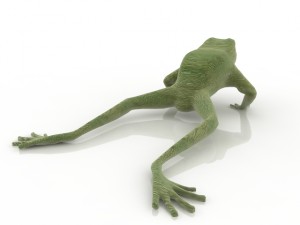 frog Modèle 3D