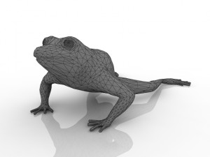 frog Modèle 3D