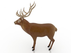 deer Modelo 3D