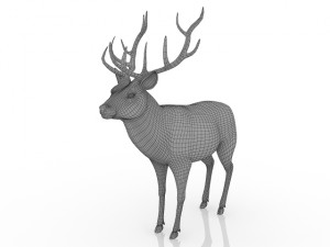 deer 3D मॉडल