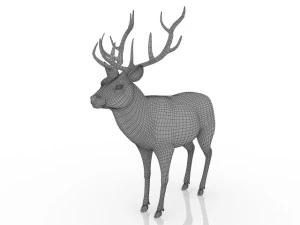 cervo Modelo 3D