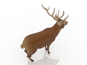 deer 3D मॉडल