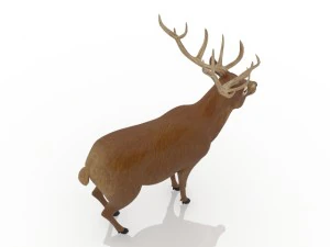 cervo Modelo 3D