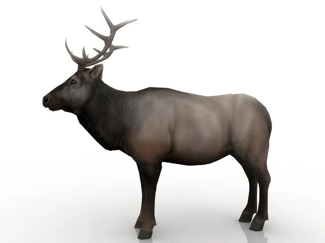 cervo Modelo 3D .c4d .max .obj .3ds .fbx .stl .blend 