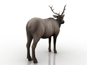 deer 3D मॉडल