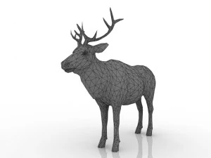 cervo Modelo 3D