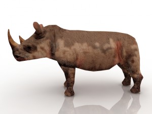 rhinoceros 3D Модель