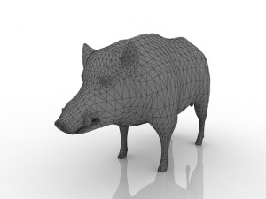 boar 3D 모델