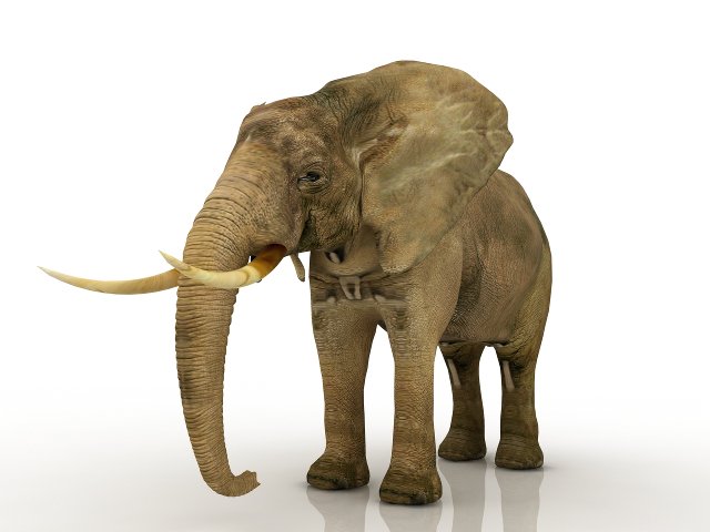 elephant Modelo 3D .c4d .max .obj .3ds .fbx .stl .blend 
