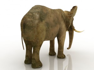 elephant Modelo 3D
