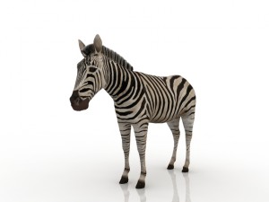 zebra Modelo 3D