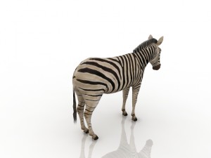 zebra 3D 모델