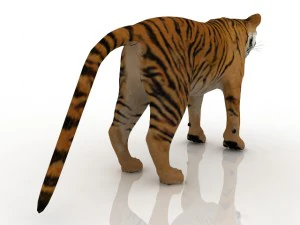 тигр 3D Модель