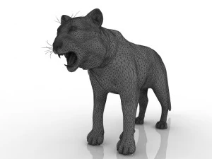 тигр 3D Модель