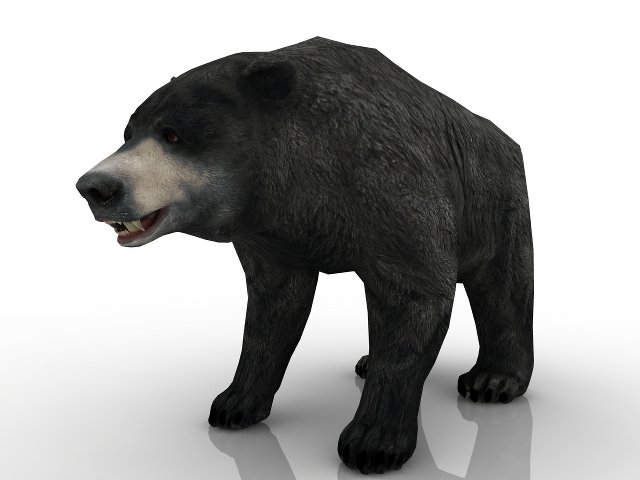 bear 3Dモデル .c4d .max .obj .3ds .fbx .stl .blend 