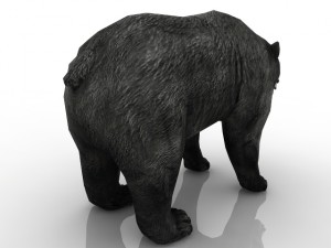 bear 3Dモデル