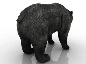 beruang Model 3D