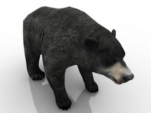 bear 3Dモデル
