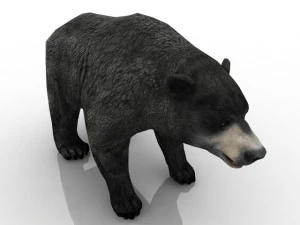 beruang Model 3D