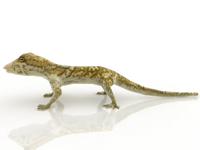 gecko 3D Model .c4d .max .obj .3ds .fbx .stl .blend 