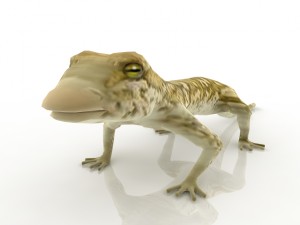 gecko 3D Model