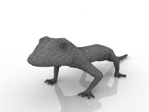 gecko 3D Model