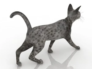 gato Modelo 3D